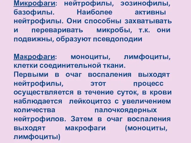 Микрофаги: нейтрофилы, эозинофилы, базофилы. Наиболее активны нейтрофилы. Они способны захватывать