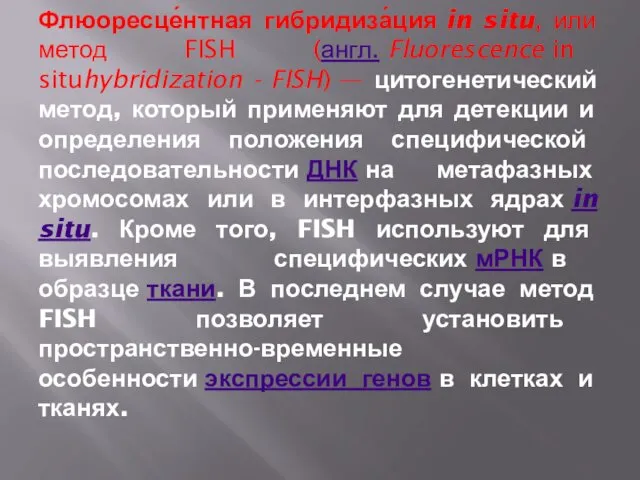 Флюоресце́нтная гибридиза́ция in situ, или метод FISH (англ. Fluorescence in situhybridization - FISH)