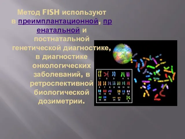 Метод FISH используют в преимплантационной, пренатальной и постнатальной генетической диагностике,
