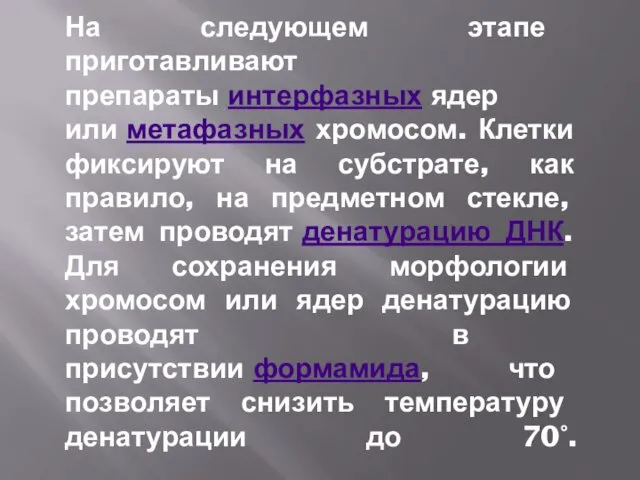 На следующем этапе приготавливают препараты интерфазных ядер или метафазных хромосом. Клетки фиксируют на