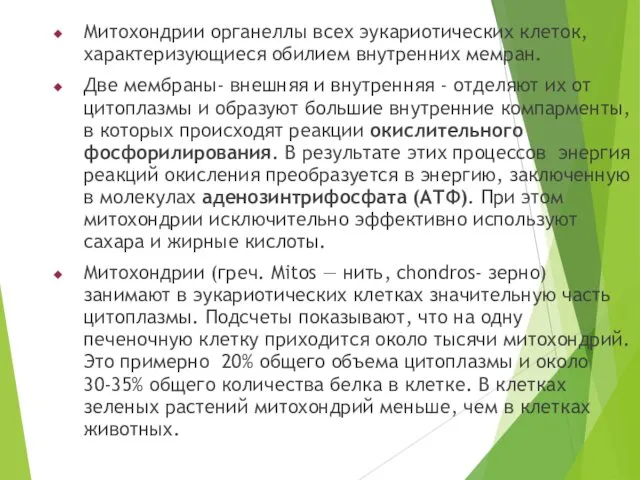 Митохондрии органеллы всех эукариотических клеток, характеризующиеся обилием внутренних мемран. Две