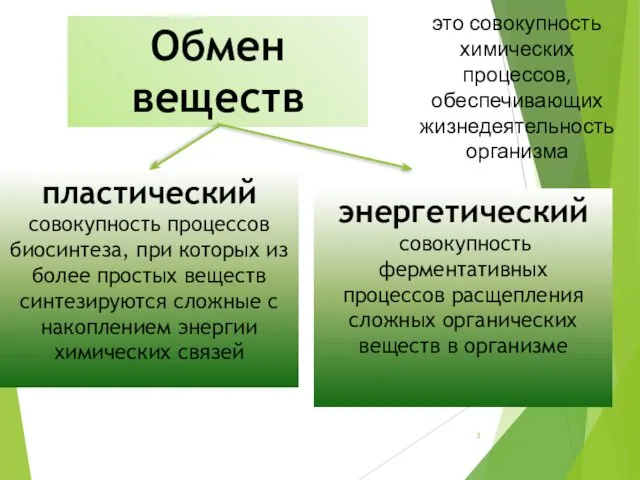 Обмен веществ это совокупность химических процессов, обеспечивающих жизнедеятельность организма пластический