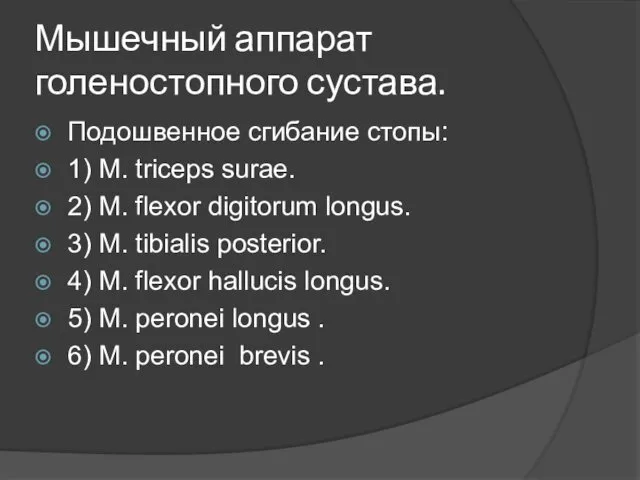 Мышечный аппарат голеностопного сустава. Подошвенное сгибание стопы: 1) M. triceps