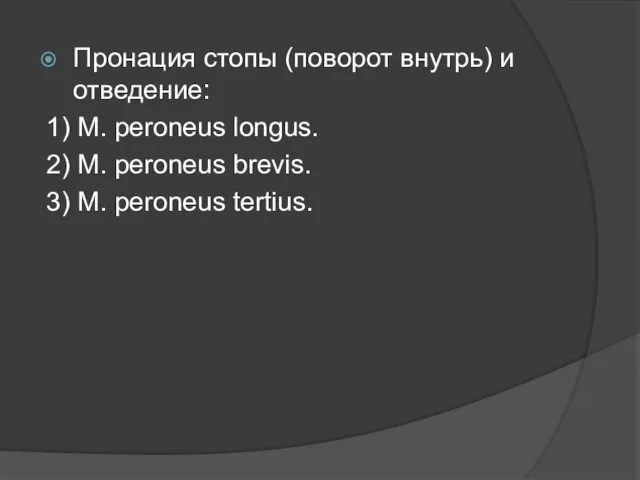 Пронация стопы (поворот внутрь) и отведение: 1) M. peroneus longus.