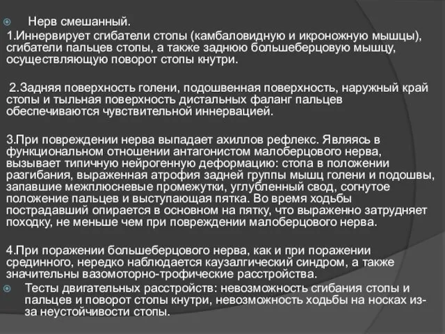 Нерв смешанный. 1.Иннервирует сгибатели стопы (камбаловидную и икроножную мышцы), сгибатели