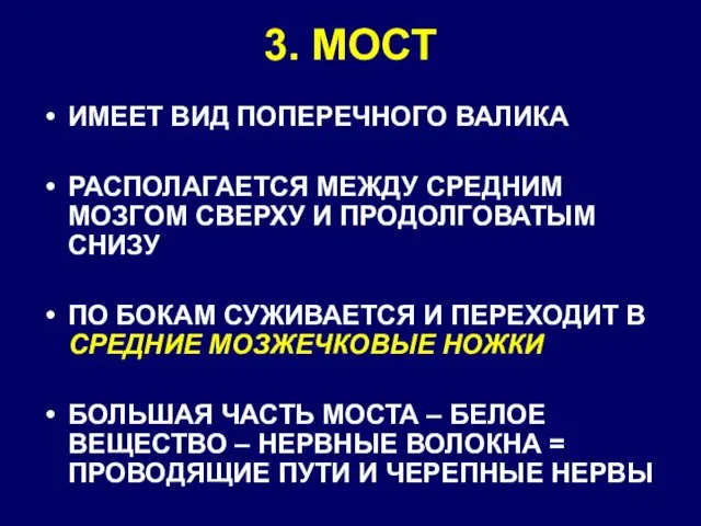 3. МОСТ ИМЕЕТ ВИД ПОПЕРЕЧНОГО ВАЛИКА РАСПОЛАГАЕТСЯ МЕЖДУ СРЕДНИМ МОЗГОМ