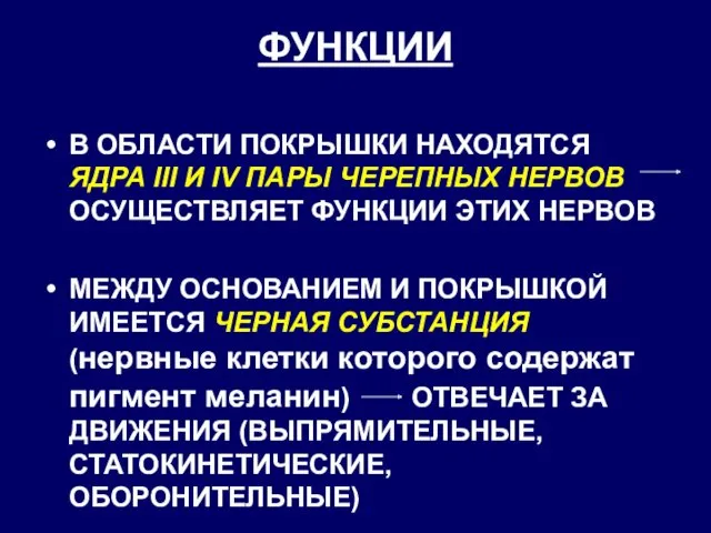 ФУНКЦИИ В ОБЛАСТИ ПОКРЫШКИ НАХОДЯТСЯ ЯДРА III И IV ПАРЫ