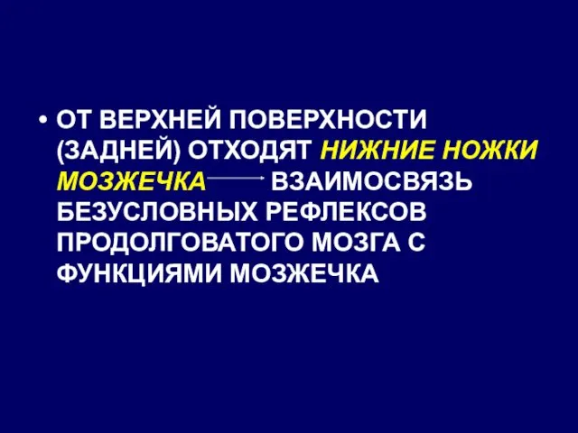 ОТ ВЕРХНЕЙ ПОВЕРХНОСТИ (ЗАДНЕЙ) ОТХОДЯТ НИЖНИЕ НОЖКИ МОЗЖЕЧКА ВЗАИМОСВЯЗЬ БЕЗУСЛОВНЫХ РЕФЛЕКСОВ ПРОДОЛГОВАТОГО МОЗГА С ФУНКЦИЯМИ МОЗЖЕЧКА