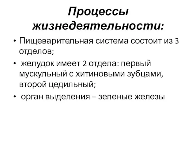 Процессы жизнедеятельности: Пищеварительная система состоит из 3 отделов; желудок имеет