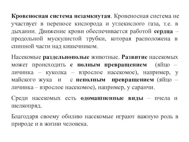 Кровеносная система незамкнутая. Кровеносная система не участвует в переносе кислорода