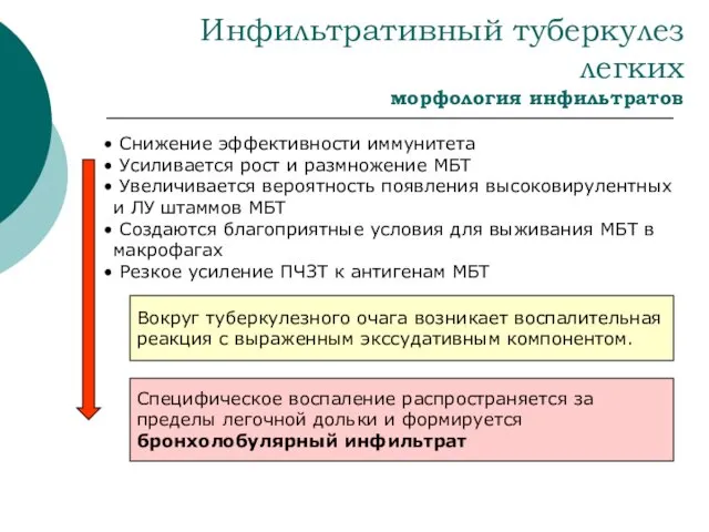 Инфильтративный туберкулез легких морфология инфильтратов Снижение эффективности иммунитета Усиливается рост