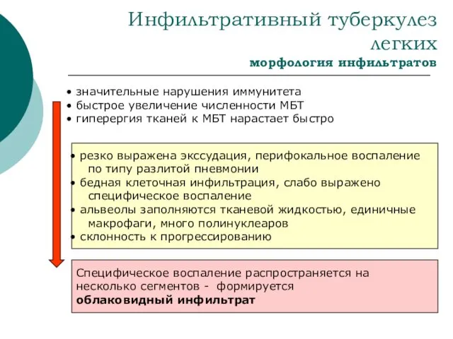 Инфильтративный туберкулез легких морфология инфильтратов значительные нарушения иммунитета быстрое увеличение