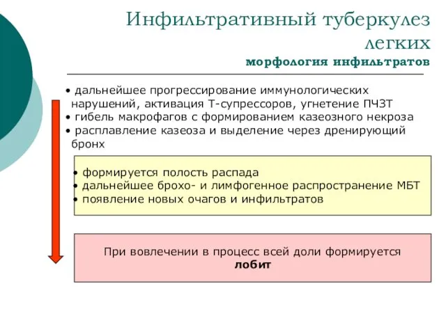 Инфильтративный туберкулез легких морфология инфильтратов дальнейшее прогрессирование иммунологических нарушений, активация