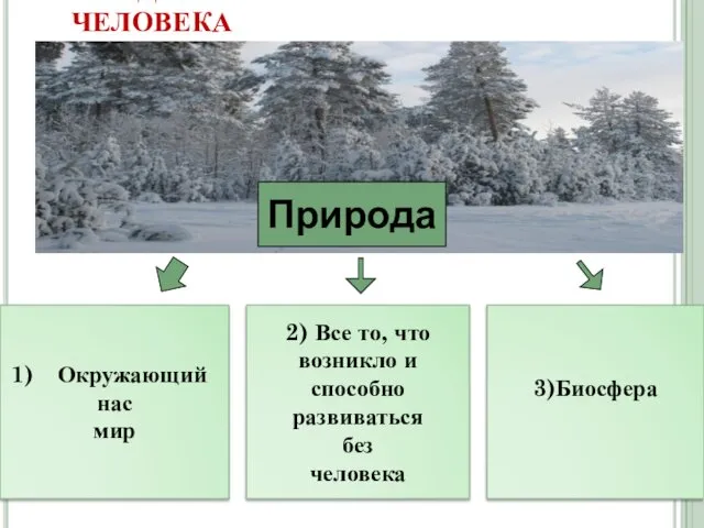 1. ПРИРОДА И ЕЁ ЗНАЧЕНИЕ В ЖИЗНИ ЧЕЛОВЕКА Окружающий нас