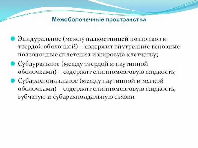 Межоболочечные пространства Эпидуральное (между надкостницей позвонков и твердой оболочкой) –