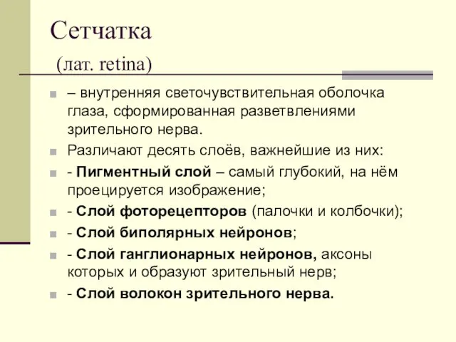 Сетчатка (лат. retina) – внутренняя светочувствительная оболочка глаза, сформированная разветвлениями