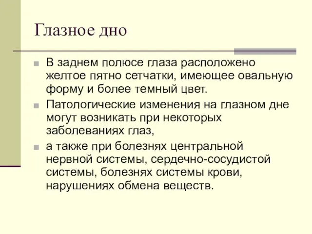 Глазное дно В заднем полюсе глаза расположено желтое пятно сетчатки,