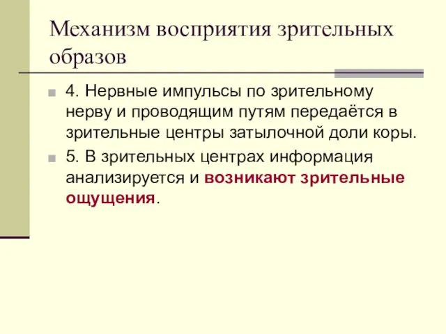 Механизм восприятия зрительных образов 4. Нервные импульсы по зрительному нерву