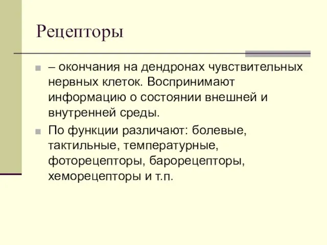 Рецепторы – окончания на дендронах чувствительных нервных клеток. Воспринимают информацию