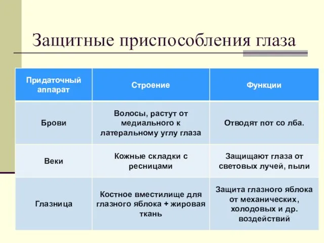 Защитные приспособления глаза