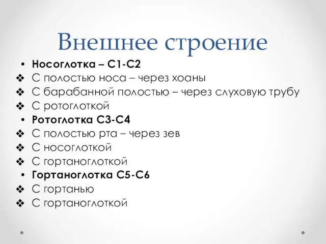 Внешнее строение Носоглотка – С1-С2 С полостью носа – через хоаны С барабанной