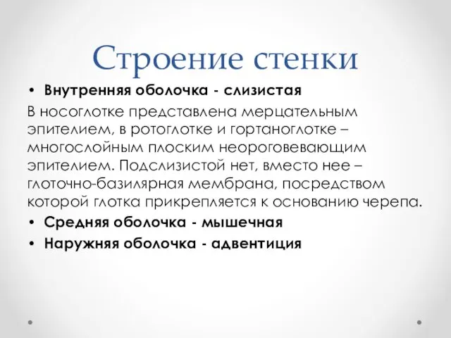 Строение стенки Внутренняя оболочка - слизистая В носоглотке представлена мерцательным эпителием, в ротоглотке