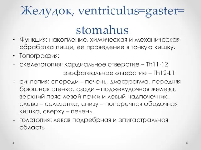 Желудок, ventriculus=gaster= stomahus Функция: накопление, химическая и механическая обработка пищи,