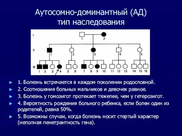 Аутосомно-доминантный (АД) тип наследования 1. Болезнь встречается в каждом поколении