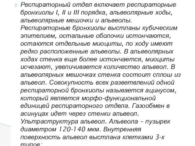 Респираторный отдел включает респираторные бронхиолы I, II и III порядка, альвеолярные ходы, альвеолярные