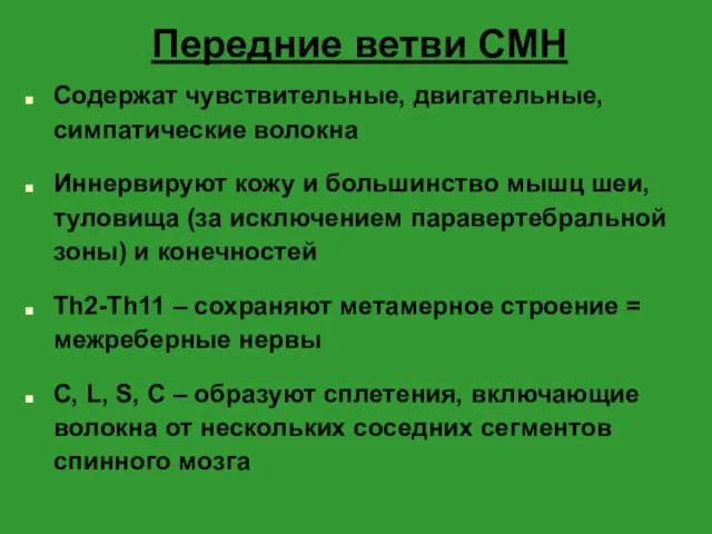 Передние ветви СМН Содержат чувствительные, двигательные, симпатические волокна Иннервируют кожу