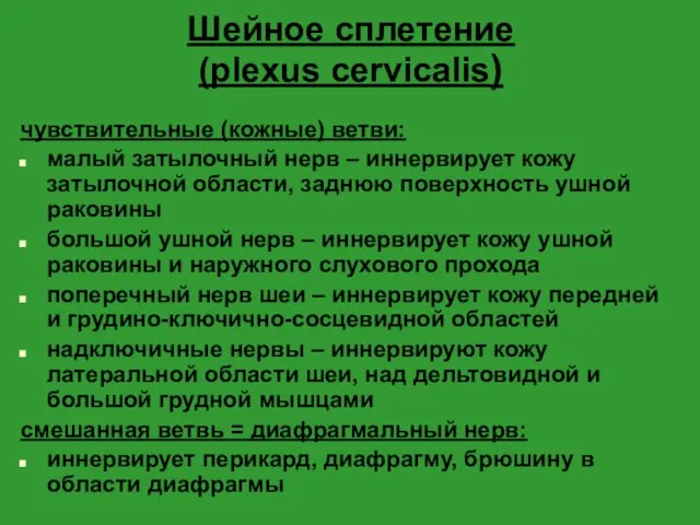 Шейное сплетение (plexus cervicalis) чувствительные (кожные) ветви: малый затылочный нерв