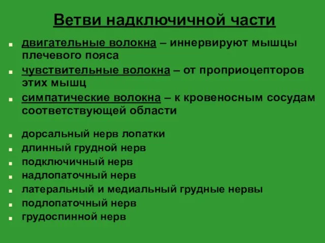 Ветви надключичной части двигательные волокна – иннервируют мышцы плечевого пояса