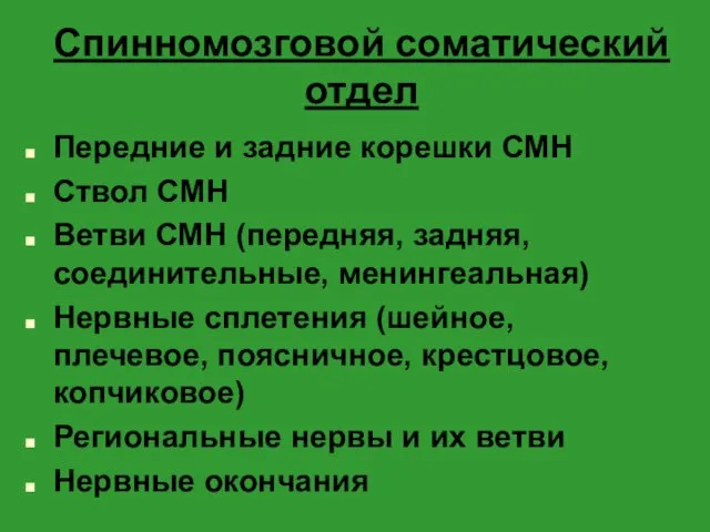 Спинномозговой соматический отдел Передние и задние корешки СМН Ствол СМН