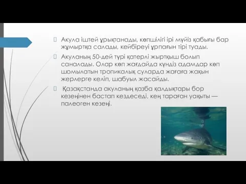 Акула іштей ұрықтанады, көпшілігі ірі мүйіз қабығы бар жұмыртқа салады,