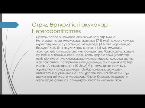 Отряд Әртүрлітісті акулалар - Heterodontiformes Әртүрлітістілер немесе өгіз акулалар отрядына