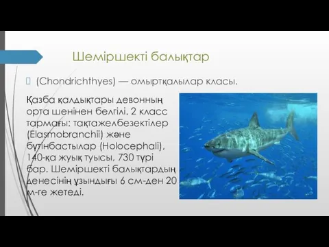 Шеміршекті балықтар (Chondrichthyes) — омыртқалылар класы. Қазба қалдықтары девонның орта