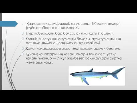 Қаңқасы тек шеміршекті, қаңқасының ізбестенгендері (сүйектенбеген) жиі кездеседі. Егер қабыршағы