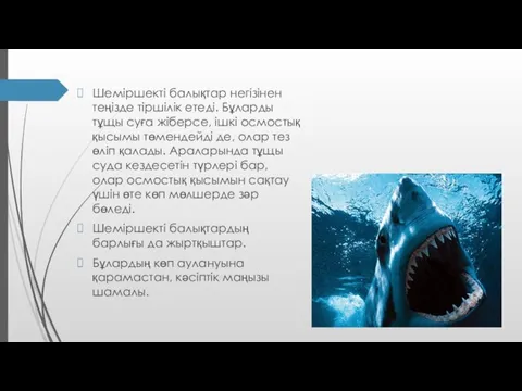 Шеміршекті балықтар негізінен теңізде тіршілік етеді. Бұларды тұщы суға жіберсе,