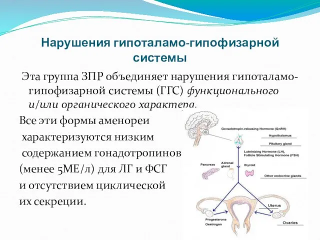 Нарушения гипоталамо-гипофизарной системы Эта группа ЗПР объединяет нарушения гипоталамо-гипофизарной системы