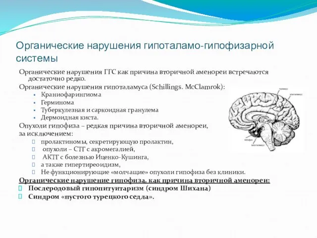 Органические нарушения гипоталамо-гипофизарной системы Органические нарушения ГГС как причина вторичной