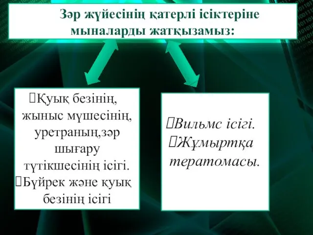 Қуық безінің,жыныс мүшесінің,уретраның,зәр шығару түтікшесінің ісігі. Бүйрек және қуық безінің