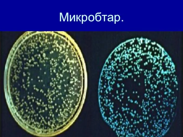 Микробтар.