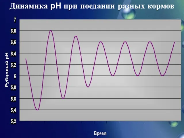 Динамика рН при поедании разных кормов