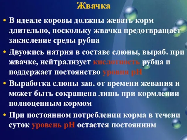 Жвачка В идеале коровы должны жевать корм длительно, поскольку жвачка