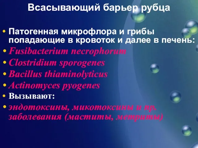 Всасывающий барьер рубца Патогенная микрофлора и грибы попадающие в кровоток