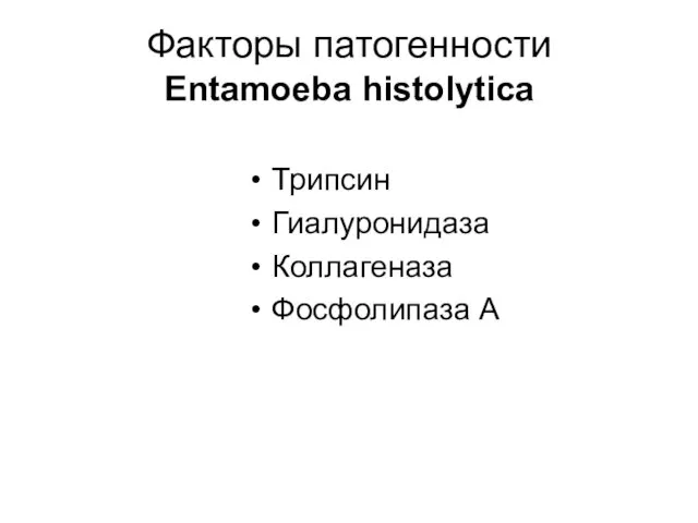Факторы патогенности Entamoeba histolytica Трипсин Гиалуронидаза Коллагеназа Фосфолипаза А