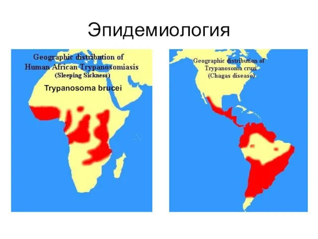Эпидемиология Trypanosoma brucei