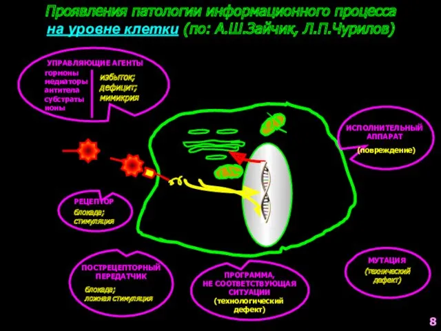 Проявления патологии информационного процесса на уровне клетки (по: А.Ш.Зайчик, Л.П.Чурилов) УПРАВЛЯЮЩИЕ АГЕНТЫ гормоны