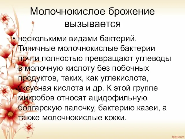 Молочнокислое брожение вызывается несколькими видами бактерий. Типичные молочнокислые бактерии почти