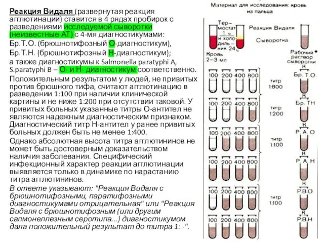 Реакция Видаля (развернутая реакция агглютинации) ставится в 4 рядах пробирок